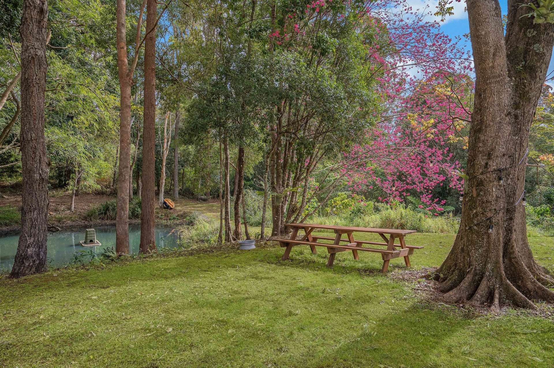 147 Obi Obi Road, Mapleton For Sale by Farmbuy.com - image 7