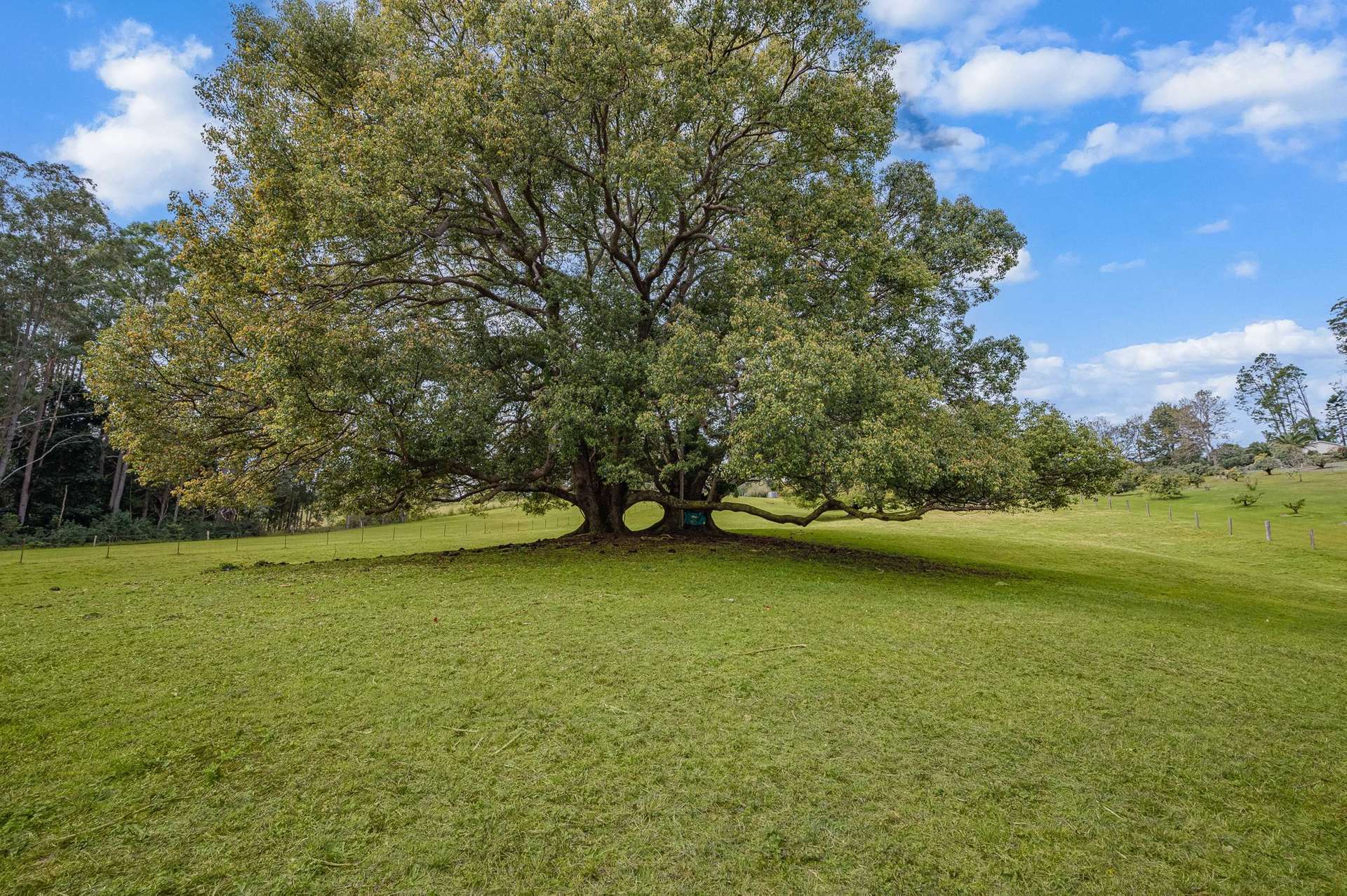 147 Obi Obi Road, Mapleton For Sale by Farmbuy.com - image 28