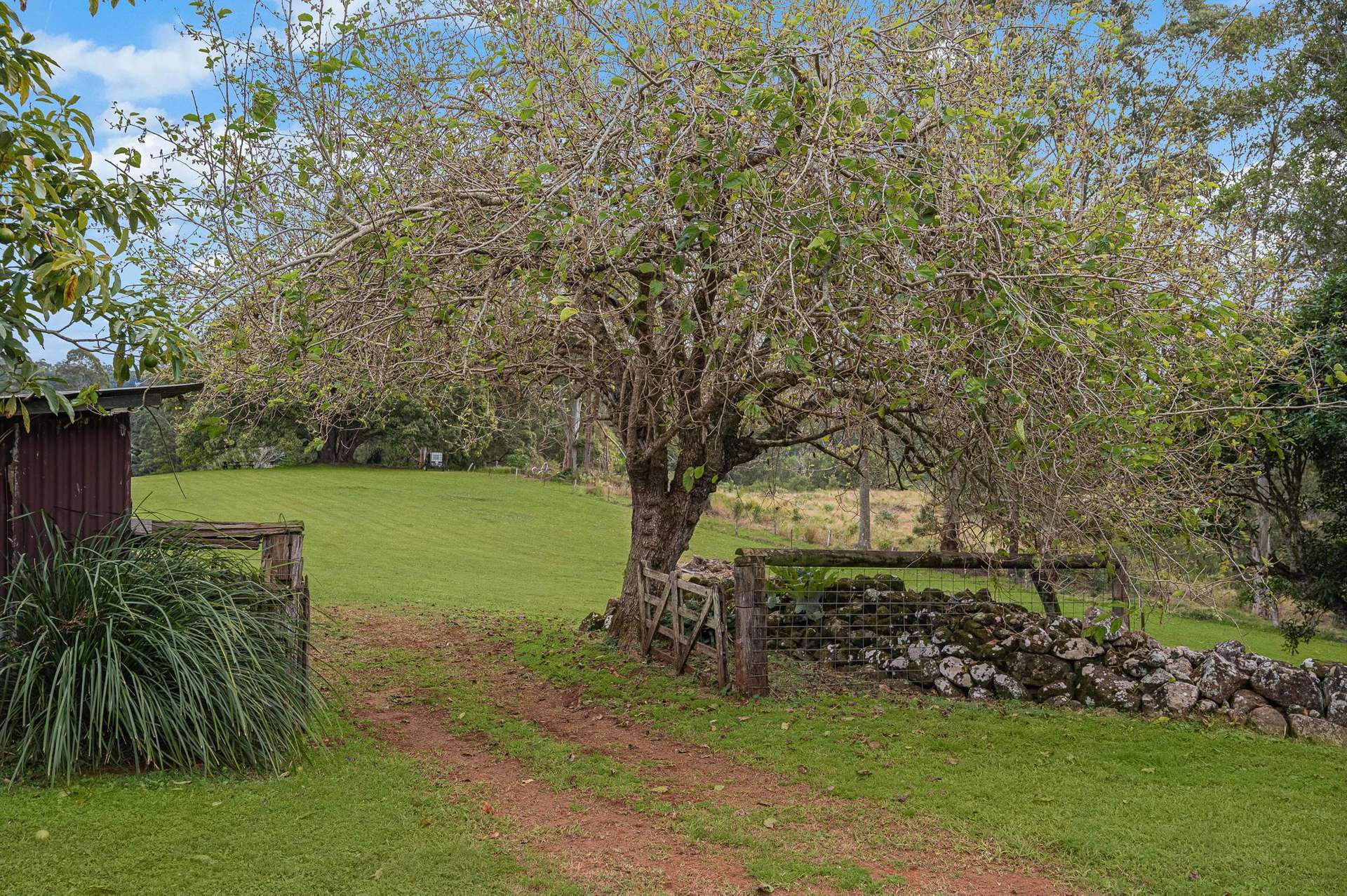 147 Obi Obi Road, Mapleton For Sale by Farmbuy.com - image 11
