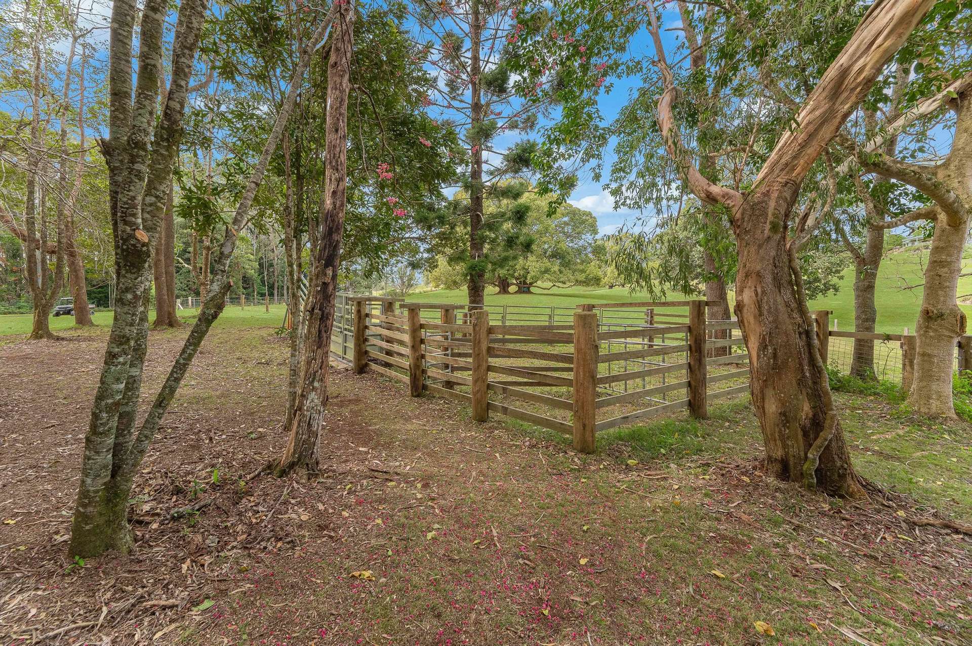 147 Obi Obi Road, Mapleton For Sale by Farmbuy.com - image 6