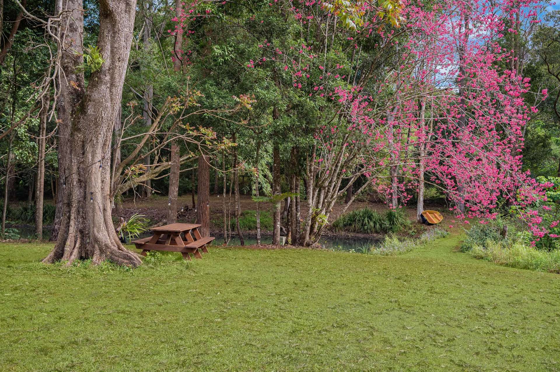 147 Obi Obi Road, Mapleton For Sale by Farmbuy.com - image 4