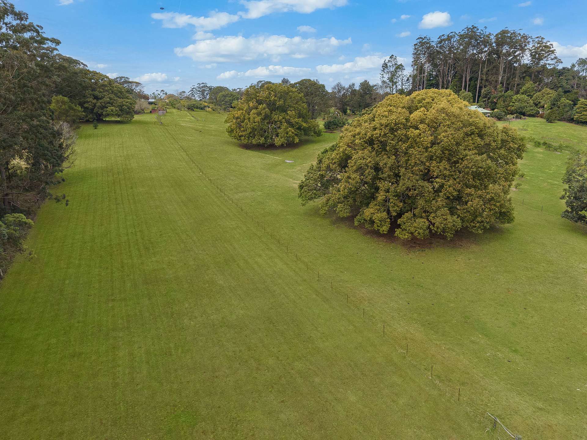 147 Obi Obi Road, Mapleton For Sale by Farmbuy.com - image 10