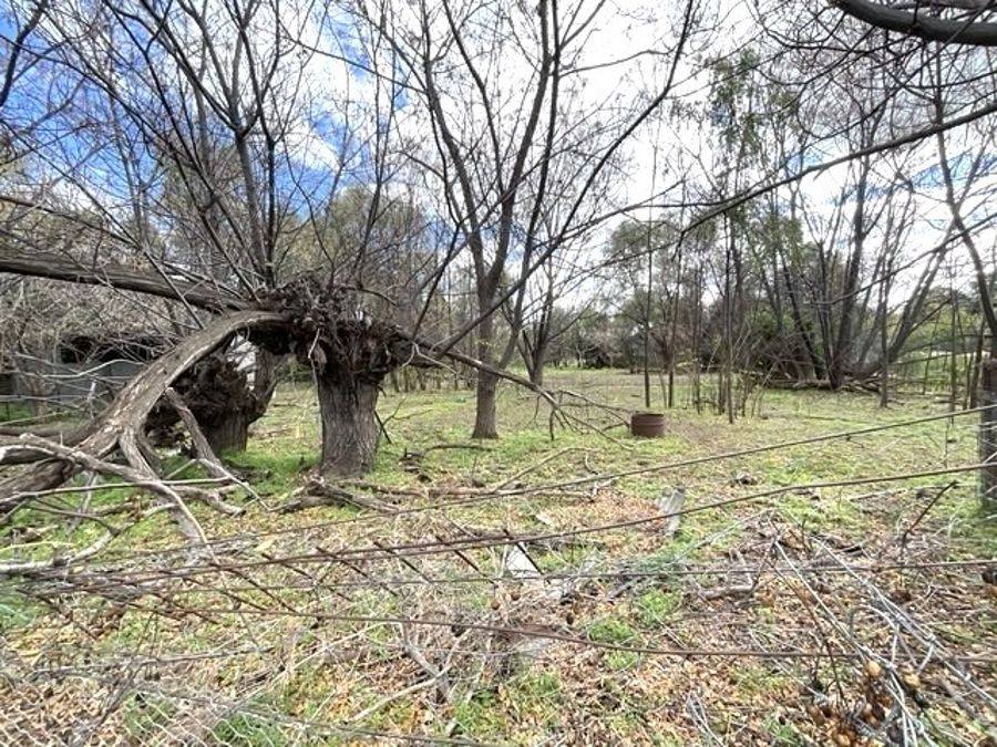 61 Yarran Street, Coonamble For Sale by Farmbuy.com - image 13
