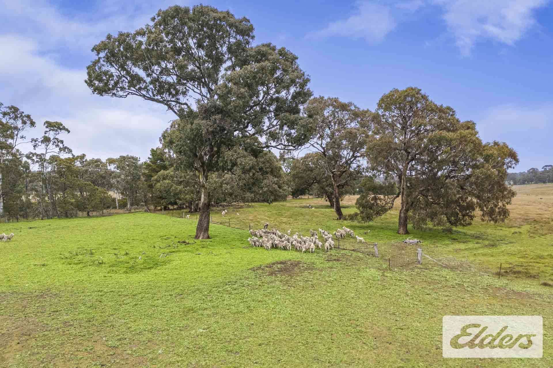4126 Western Highway, Trawalla For Sale by Farmbuy.com - image 4