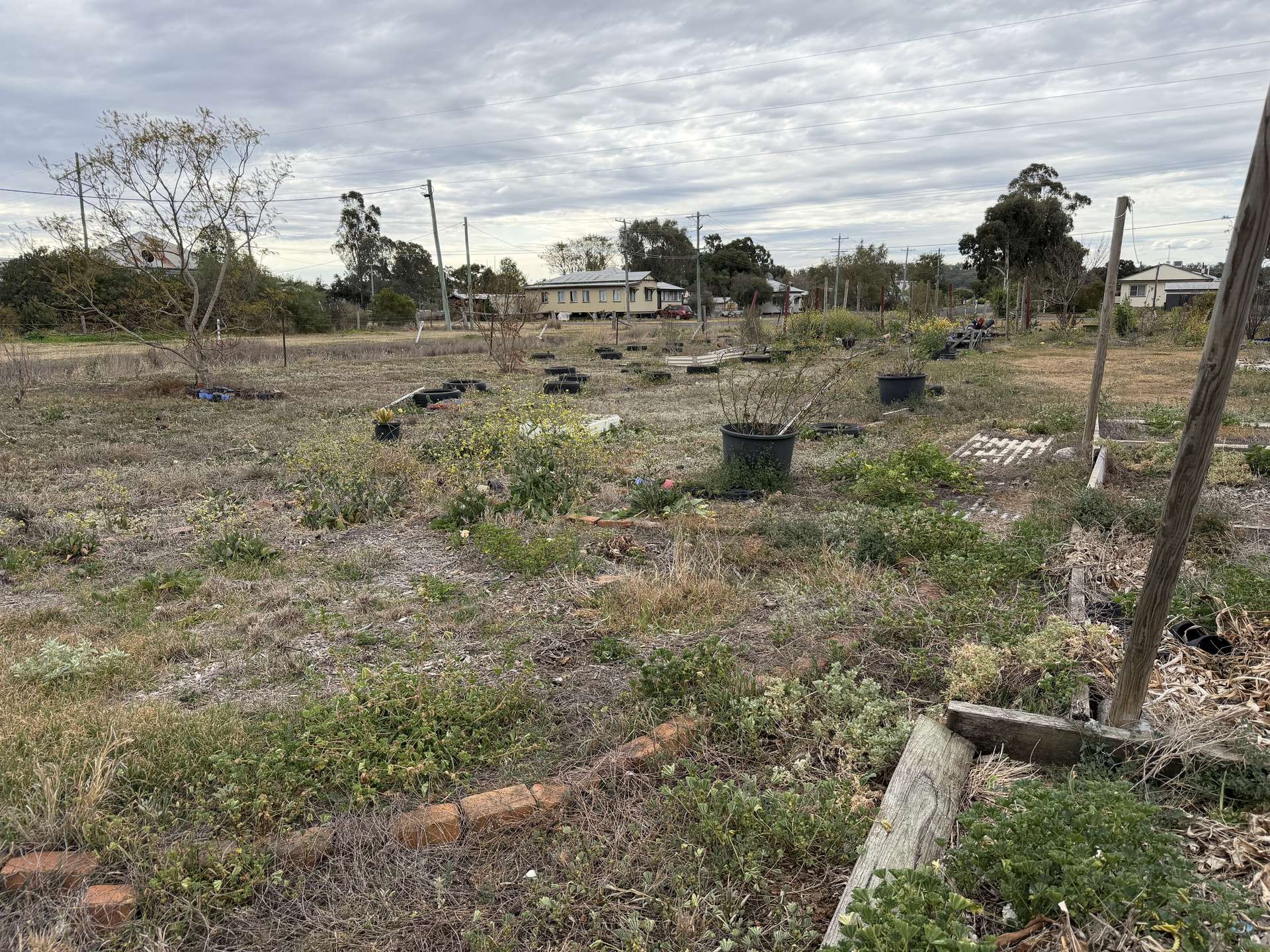 18 Earl Street, Jondaryan For Sale by Farmbuy.com - image 7