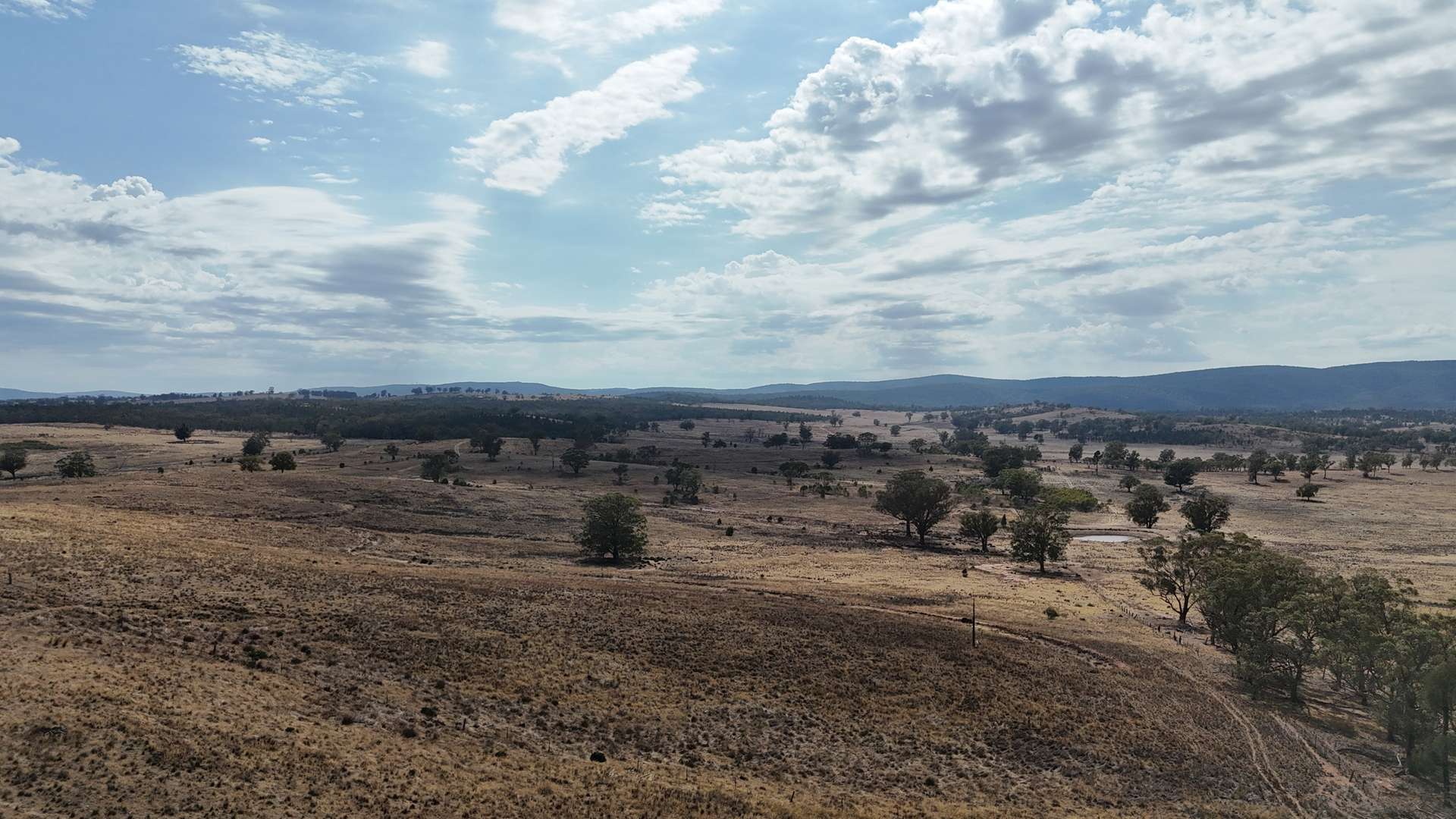 117 Hillside Lane, Parkes For Sale by Farmbuy.com - image 12