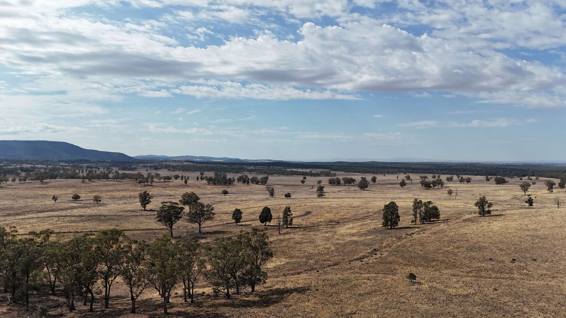 117 Hillside Lane, Parkes For Sale by Farmbuy.com - image 11