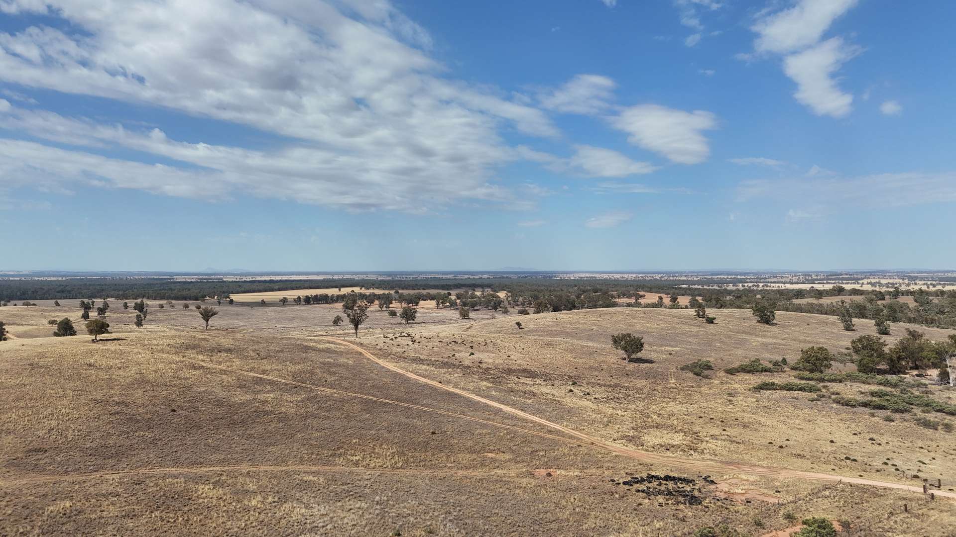 117 Hillside Lane, Parkes For Sale by Farmbuy.com - image 10
