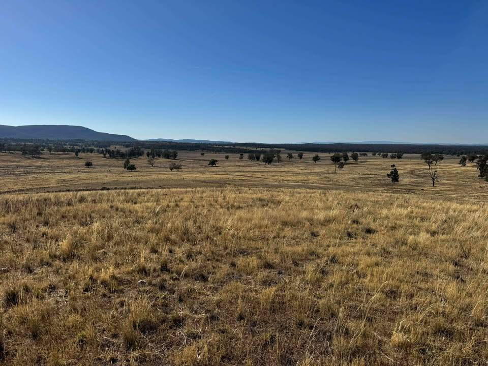 117 Hillside Lane, Parkes For Sale by Farmbuy.com - image 7