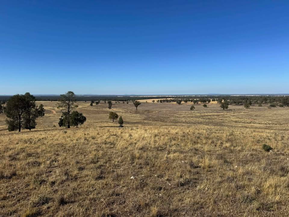 117 Hillside Lane, Parkes For Sale by Farmbuy.com - image 2