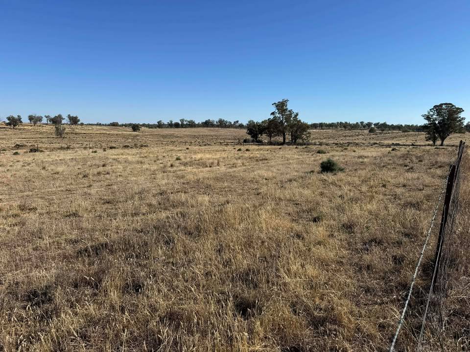 117 Hillside Lane, Parkes For Sale by Farmbuy.com - image 3