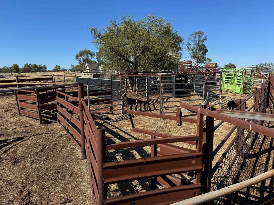 117 Hillside Lane, Parkes For Sale by Farmbuy.com - image 4