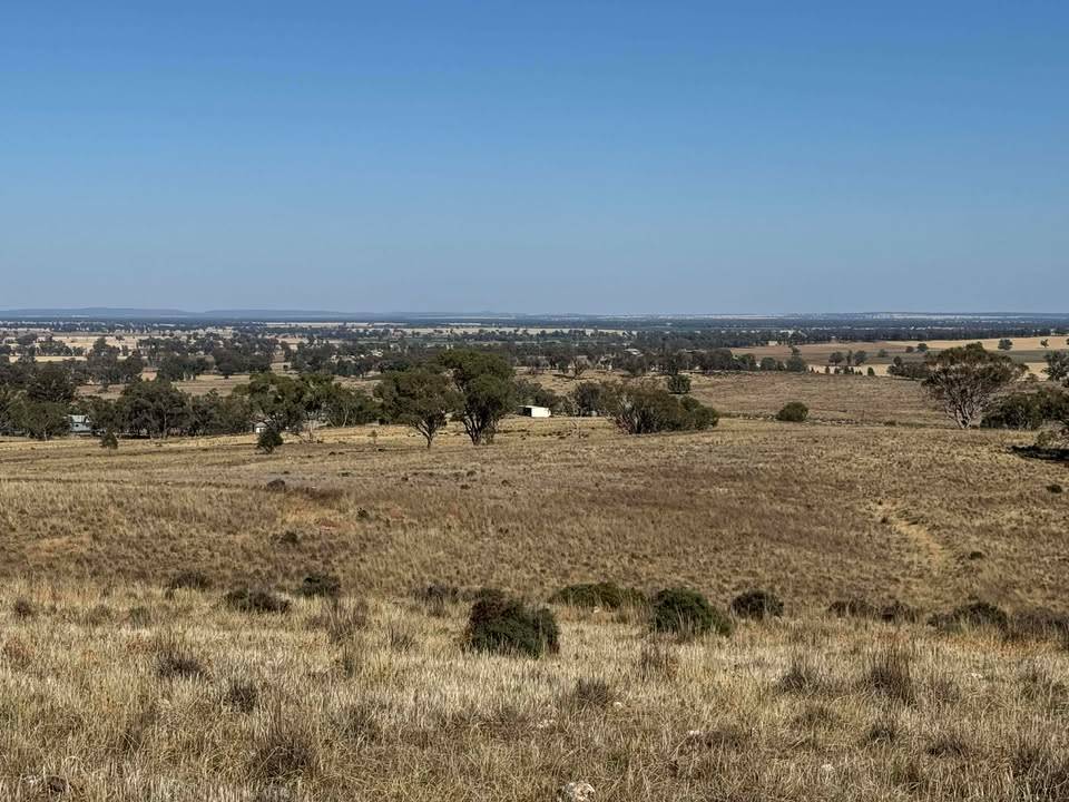 117 Hillside Lane, Parkes For Sale by Farmbuy.com - image 8