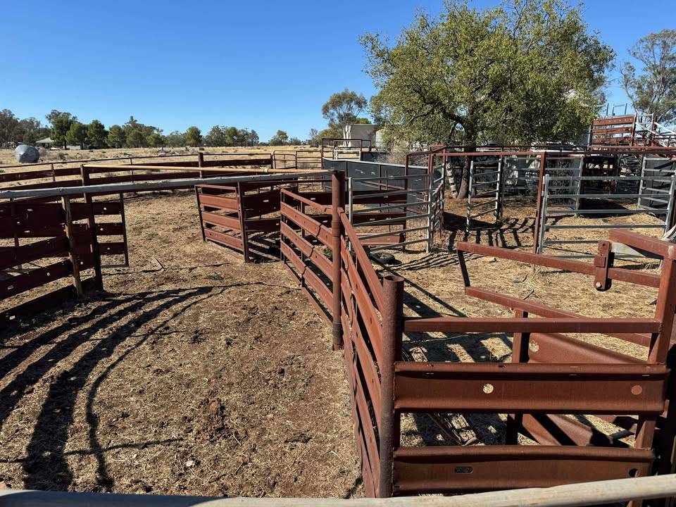 117 Hillside Lane, Parkes For Sale by Farmbuy.com - image 5