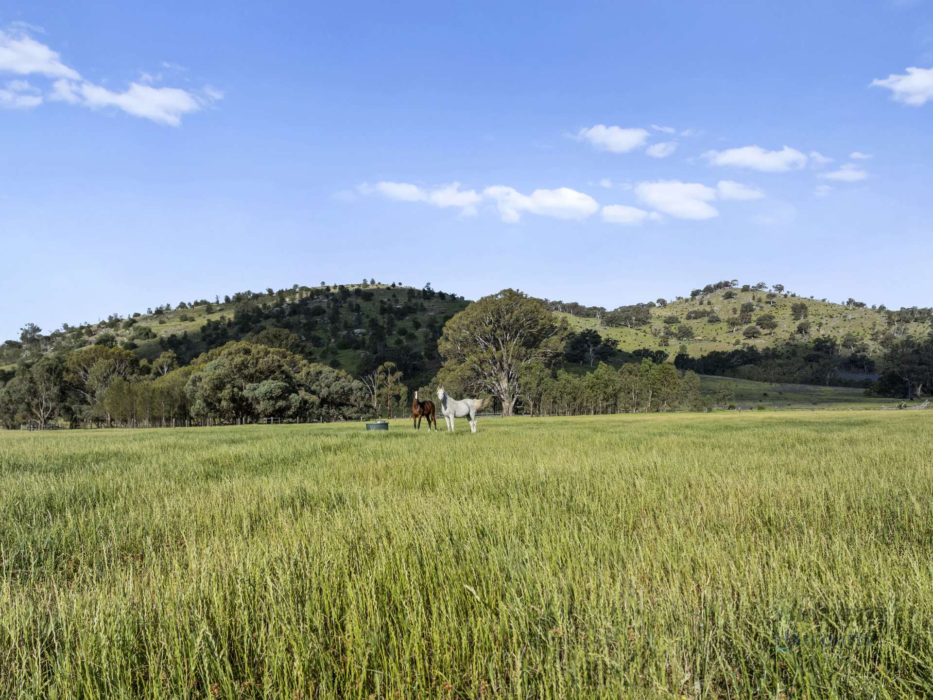778 Sheans Creek Road, Euroa For Sale by Farmbuy.com - image 30