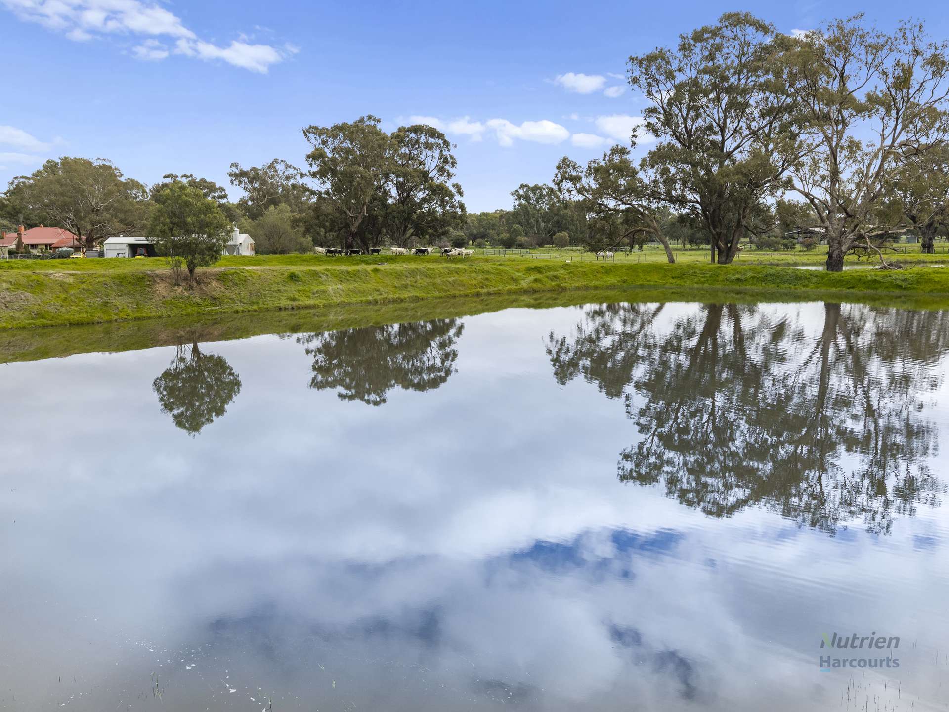 778 Sheans Creek Road, Euroa For Sale by Farmbuy.com - image 11