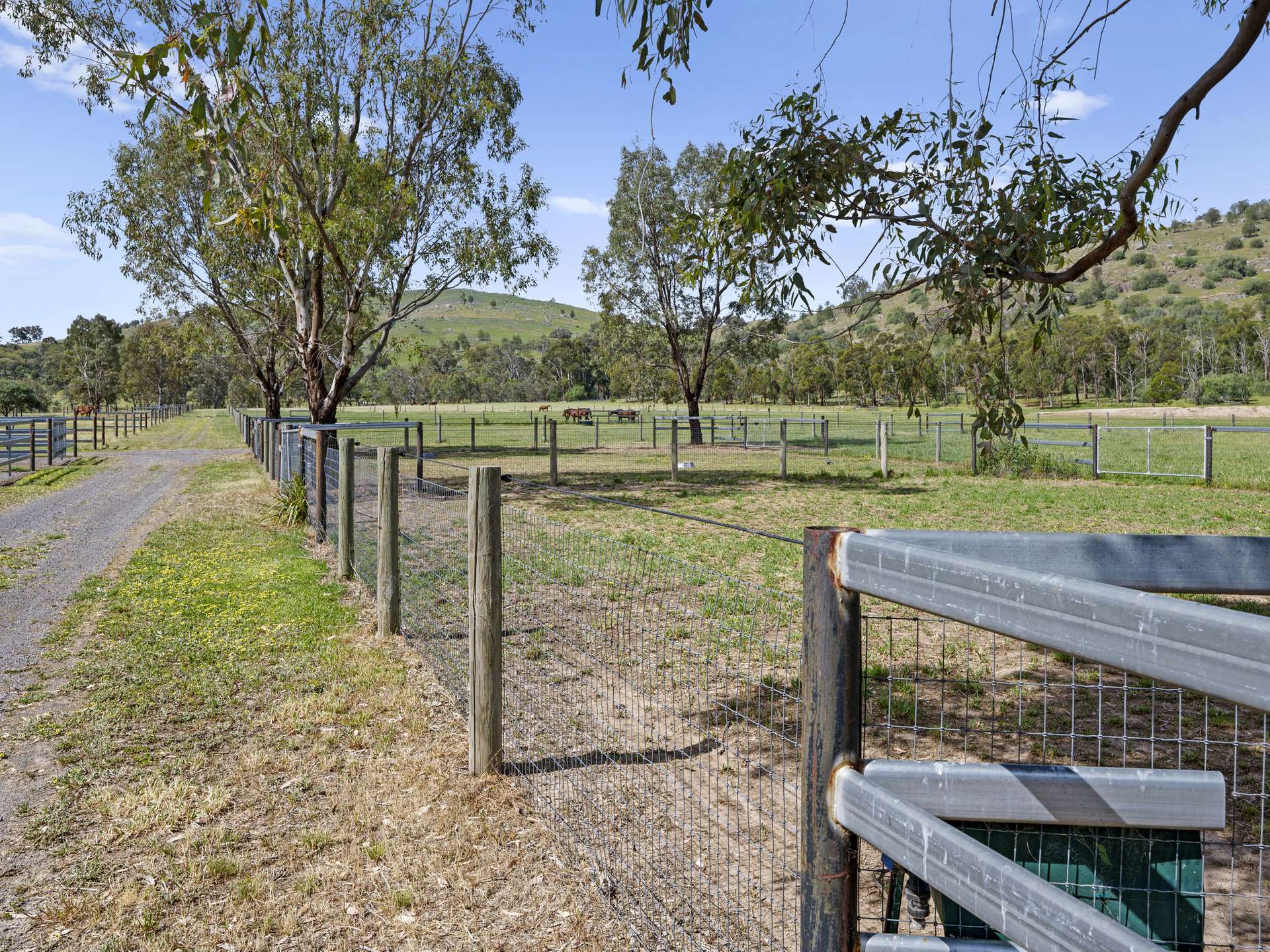 778 Sheans Creek Road, Euroa For Sale by Farmbuy.com - image 12
