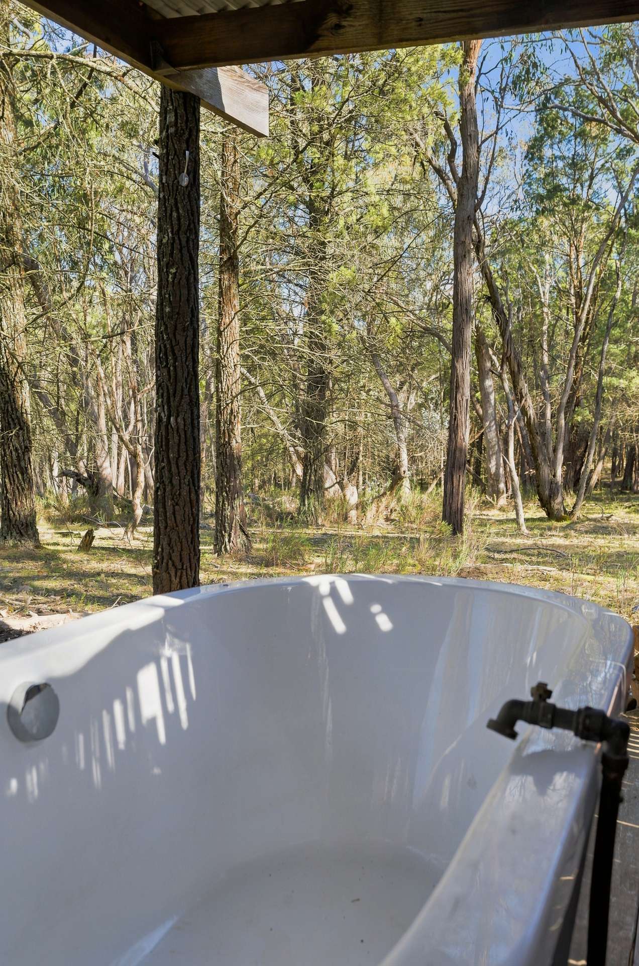 Lot 28, 279A Cobb Drive, Woodstock For Sale by Farmbuy.com - image 19