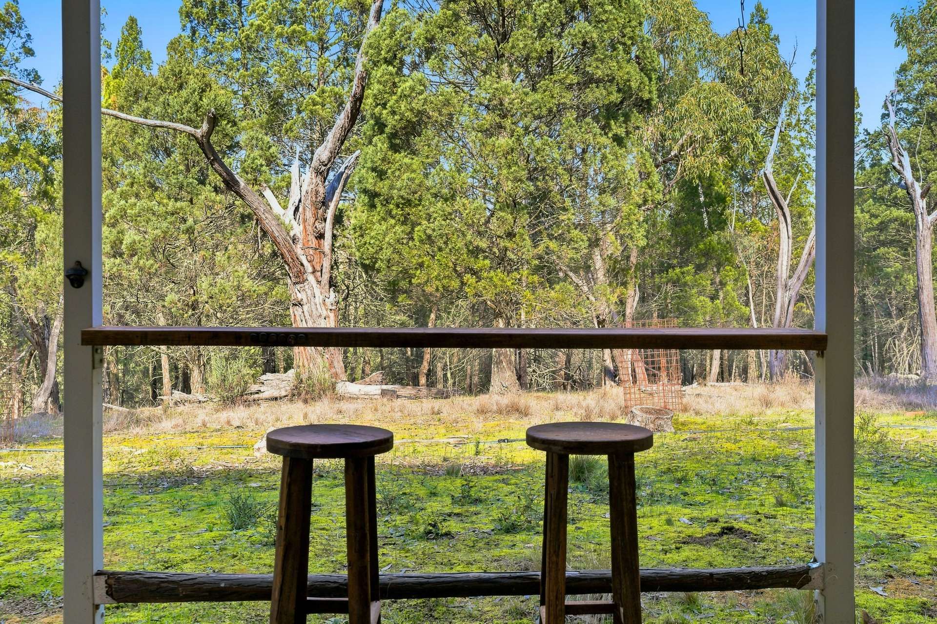 Lot 28, 279A Cobb Drive, Woodstock For Sale by Farmbuy.com - image 15