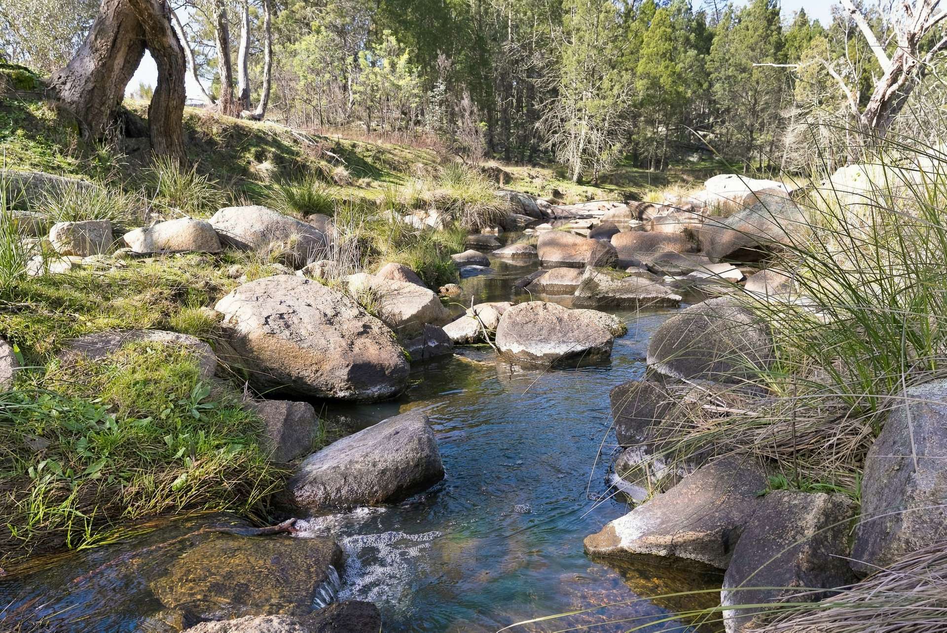 Lot 28, 279A Cobb Drive, Woodstock For Sale by Farmbuy.com - image 2
