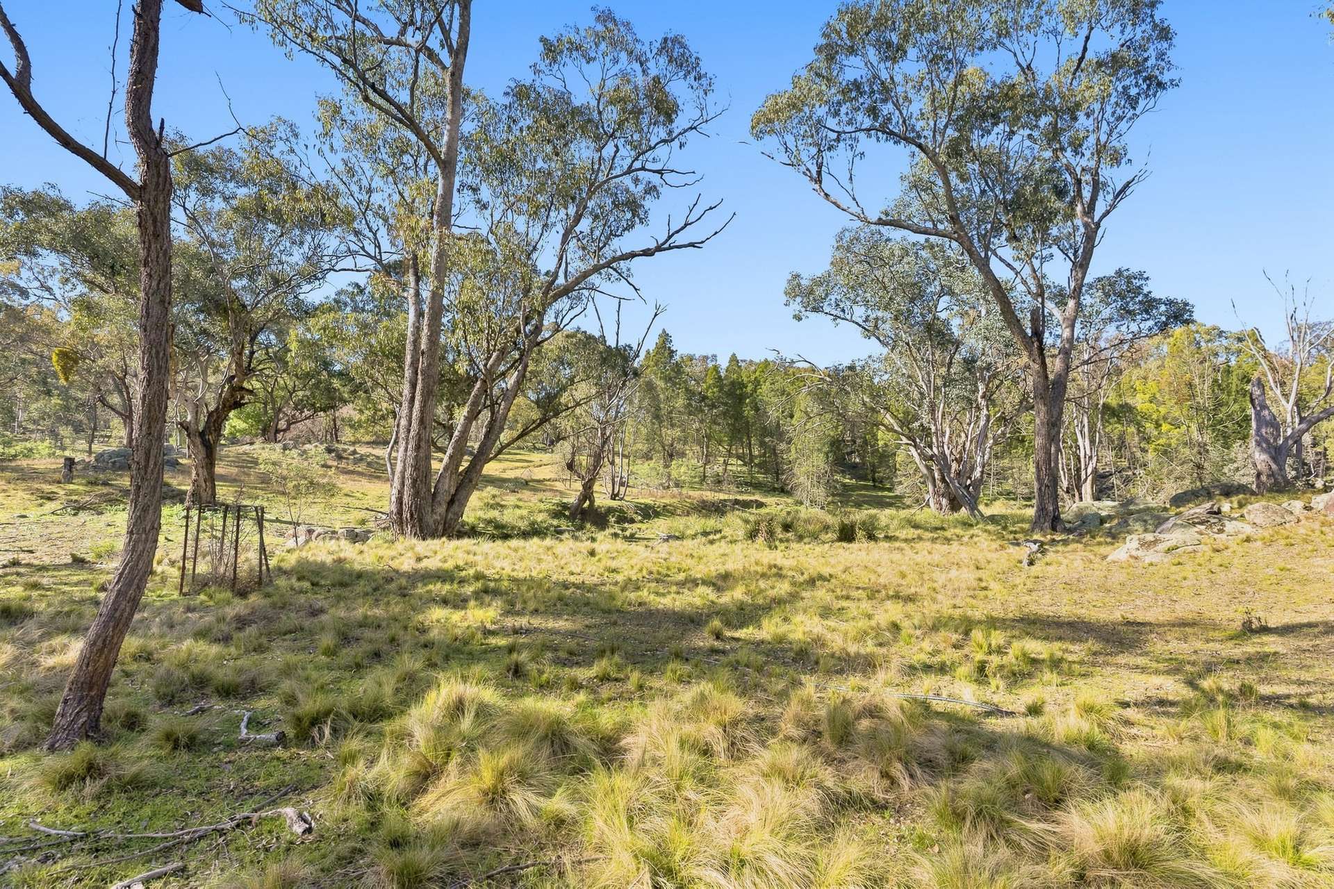 Lot 28, 279A Cobb Drive, Woodstock For Sale by Farmbuy.com - image 21