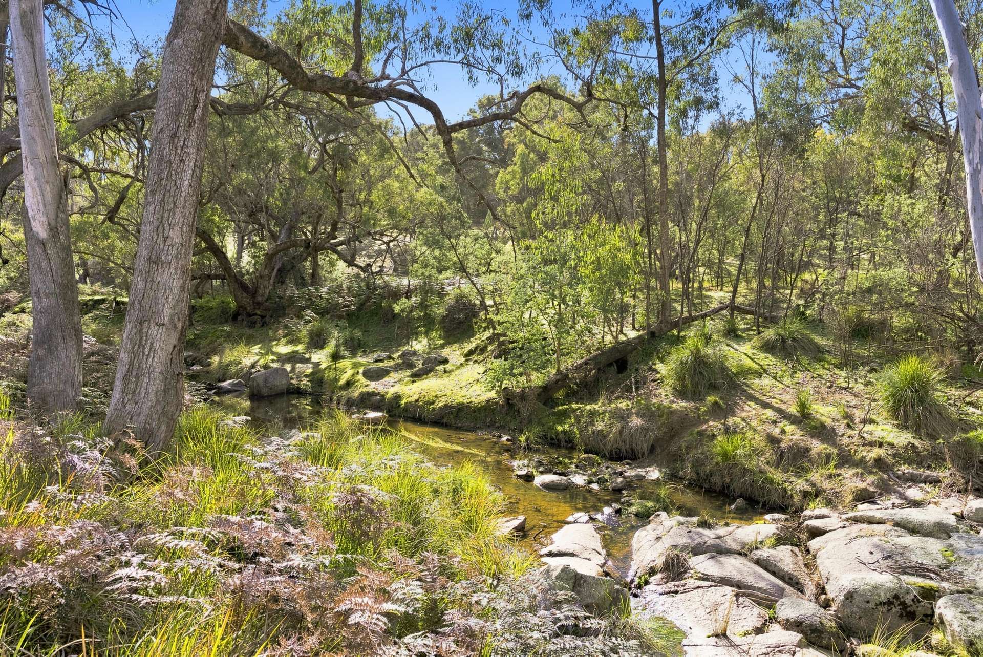 Lot 28, 279A Cobb Drive, Woodstock For Sale by Farmbuy.com - image 13