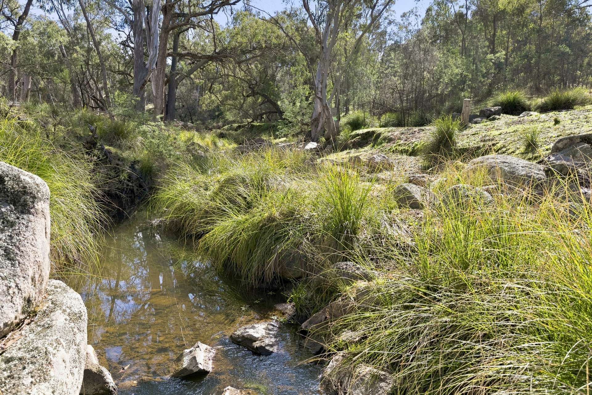 Lot 28, 279A Cobb Drive, Woodstock For Sale by Farmbuy.com - image 12