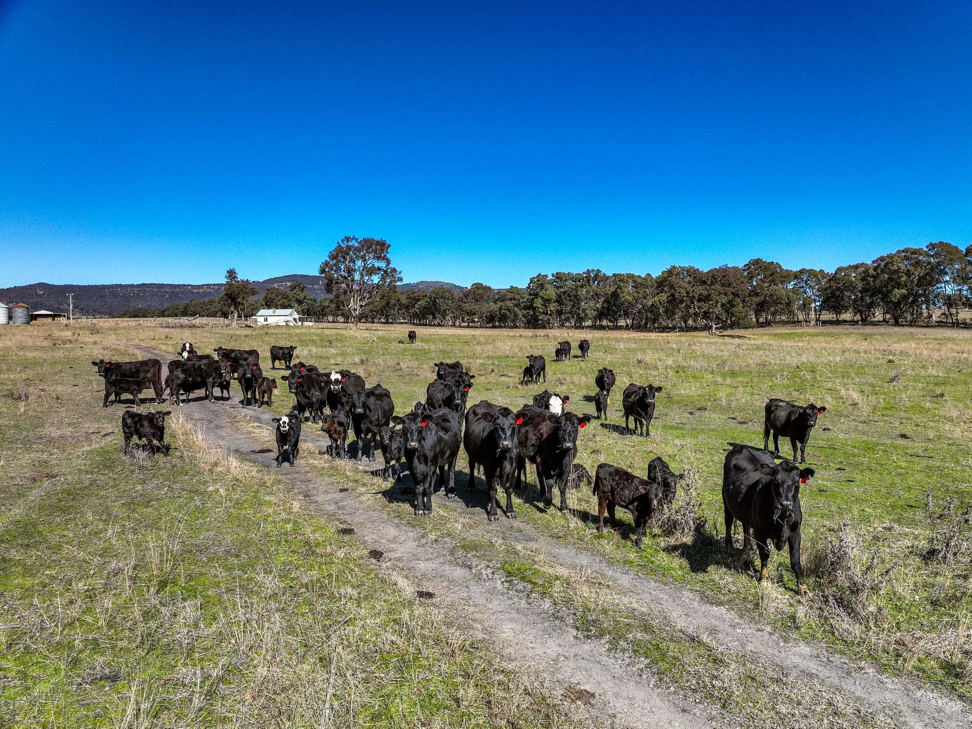 Lot 2/, 30 Narrango Road, Rylstone For Sale by Farmbuy.com - image 17