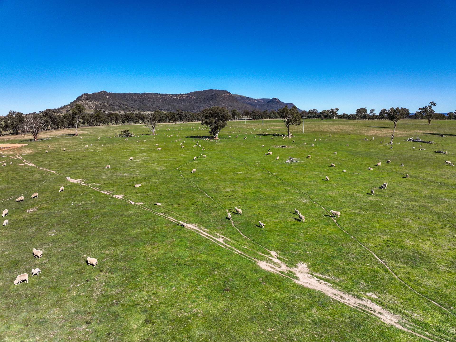 Lot 72/, 30 Narrango Road, Rylstone For Sale by Farmbuy.com - image 7