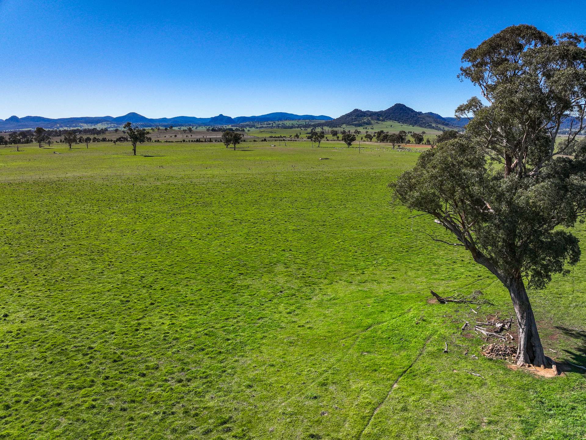 Lot 72/, 30 Narrango Road, Rylstone For Sale by Farmbuy.com - image 3