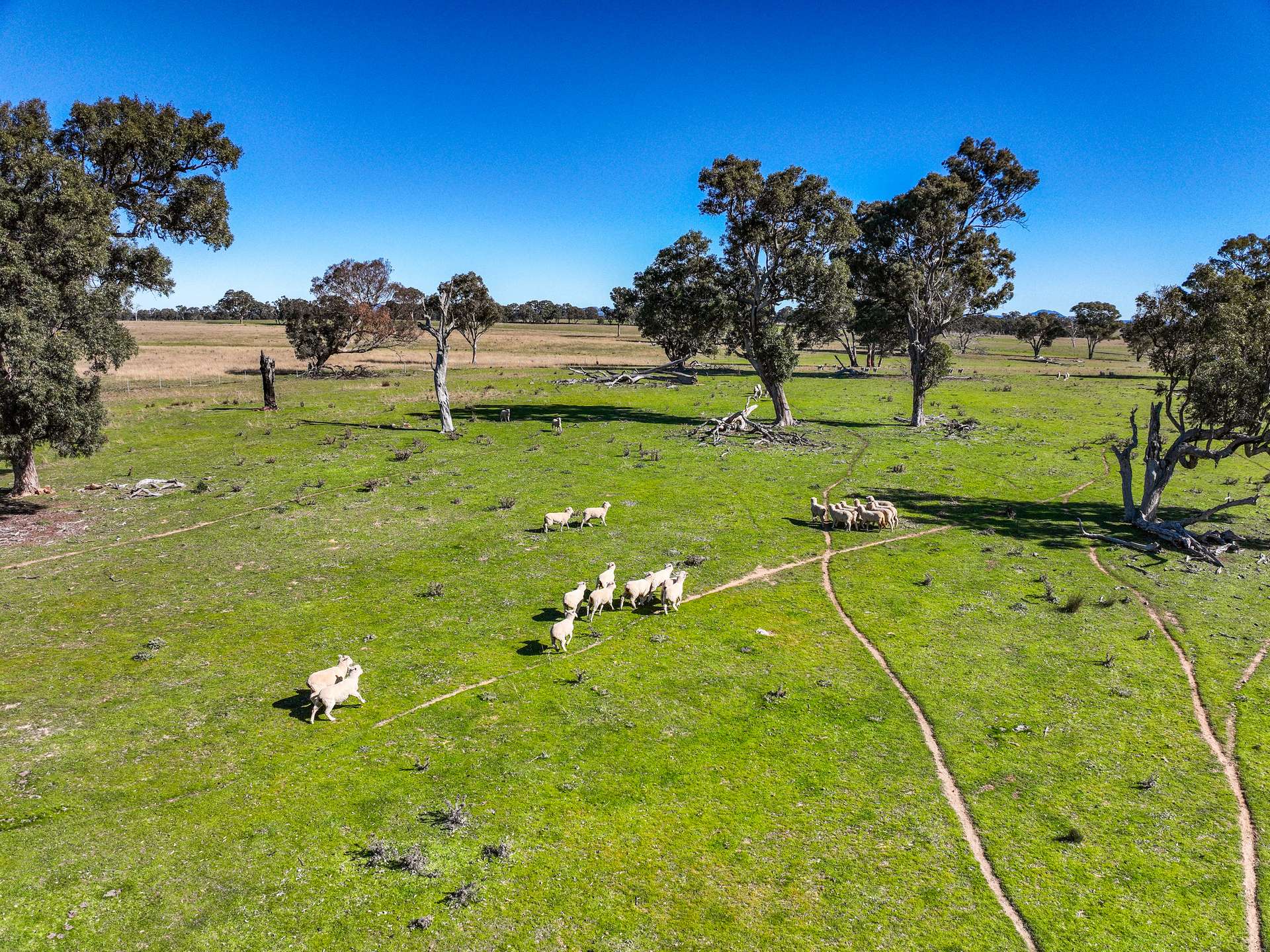 Lot 110/, 30 Narrango Road, Rylstone For Sale by Farmbuy.com - image 3