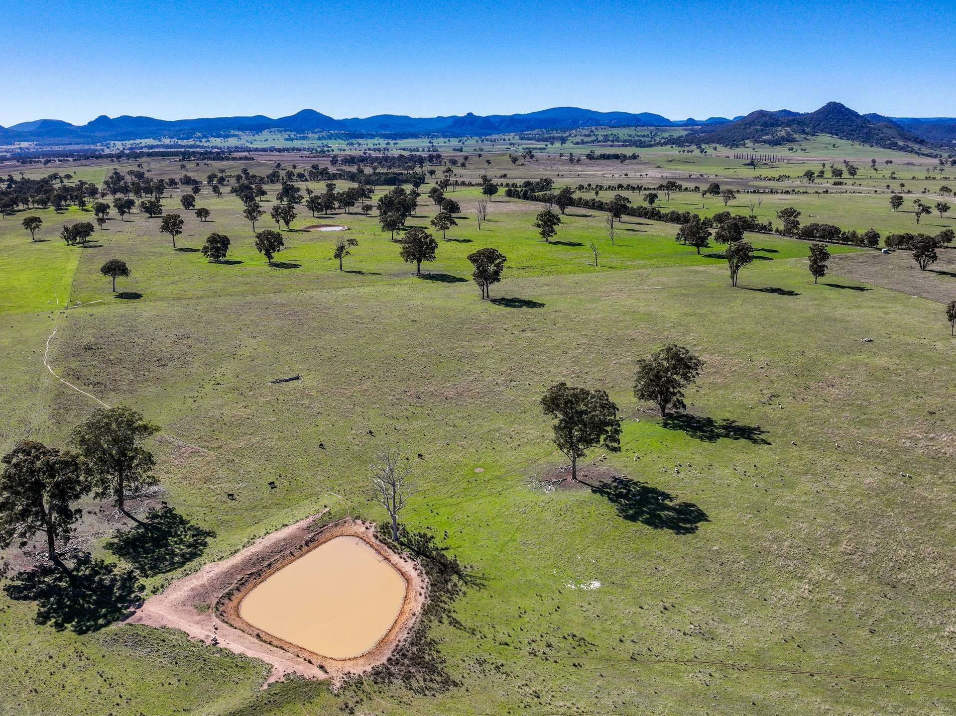 Lot 110/, 30 Narrango Road, Rylstone For Sale by Farmbuy.com - image 11