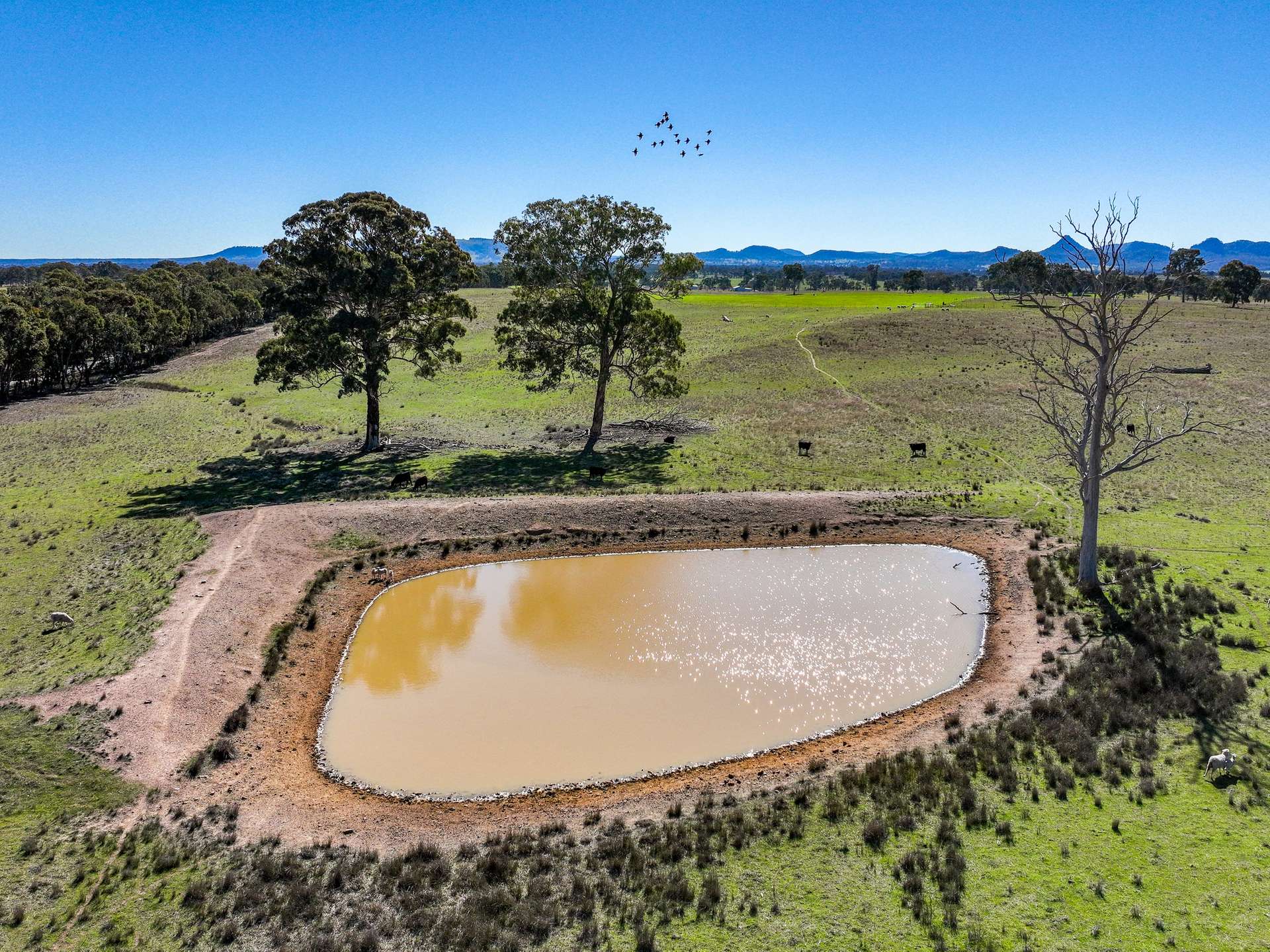 Lot 110/, 30 Narrango Road, Rylstone For Sale by Farmbuy.com - image 8