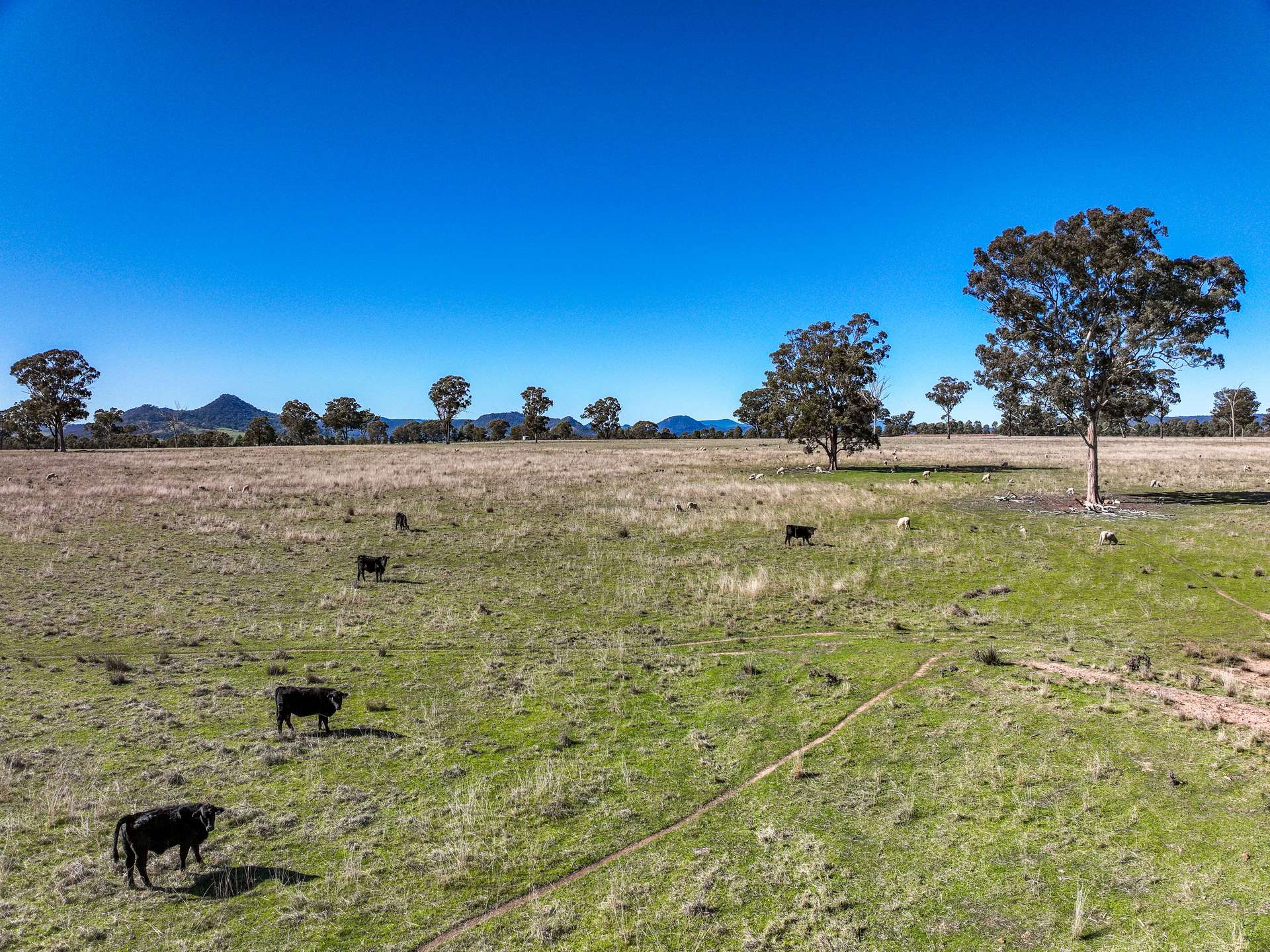 Lot 110/, 30 Narrango Road, Rylstone For Sale by Farmbuy.com - image 2