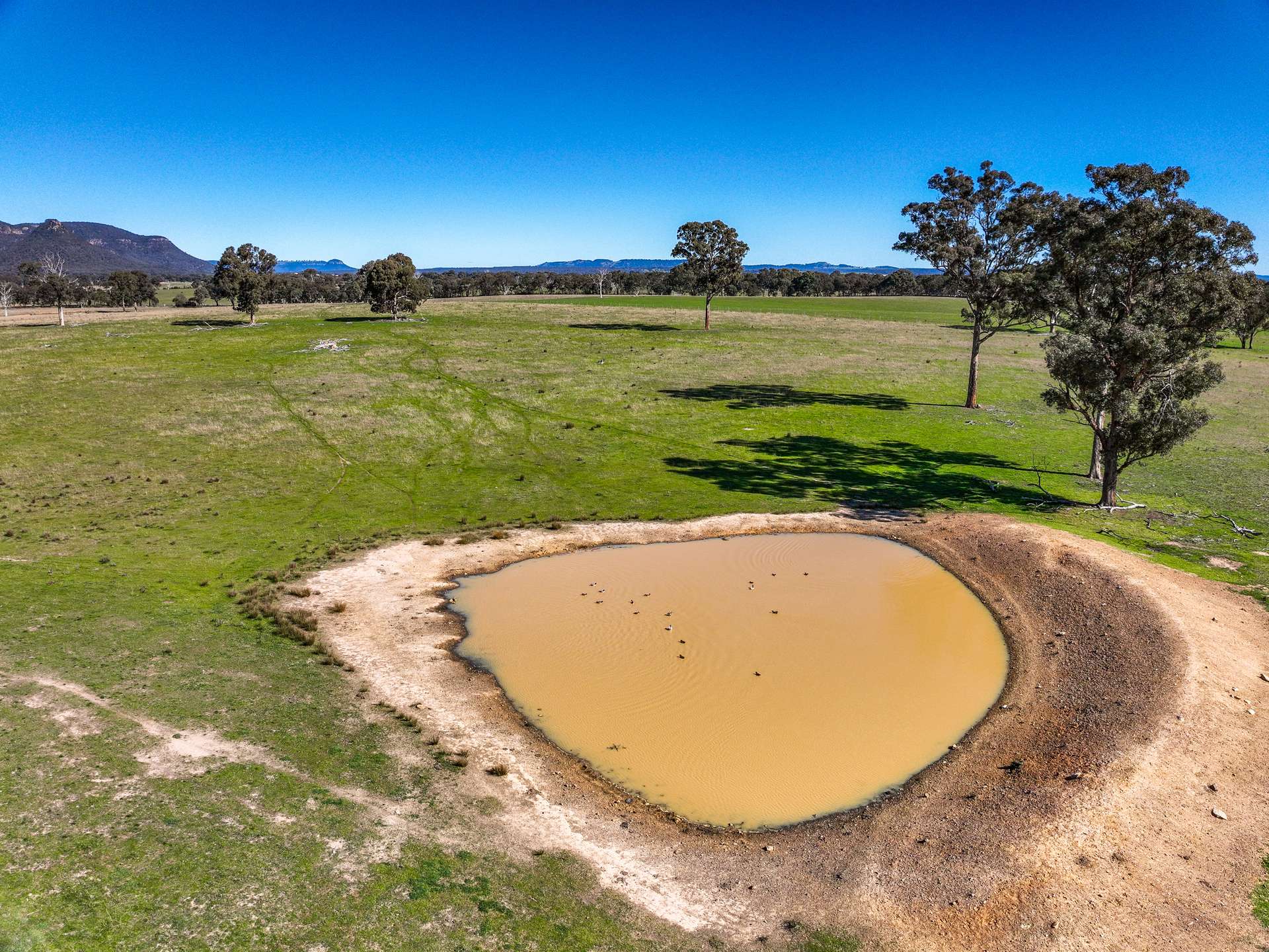 Lot 110/, 30 Narrango Road, Rylstone For Sale by Farmbuy.com - image 9