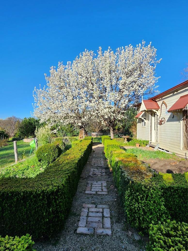 85 Auburn Vale Road, Inverell For Sale by Farmbuy.com - image 26
