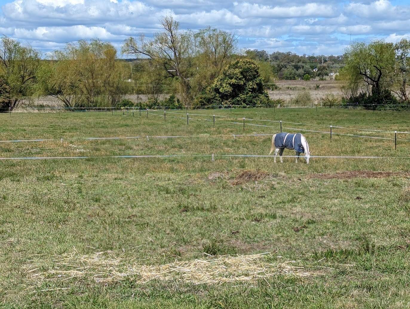 85 Auburn Vale Road, Inverell For Sale by Farmbuy.com - image 28