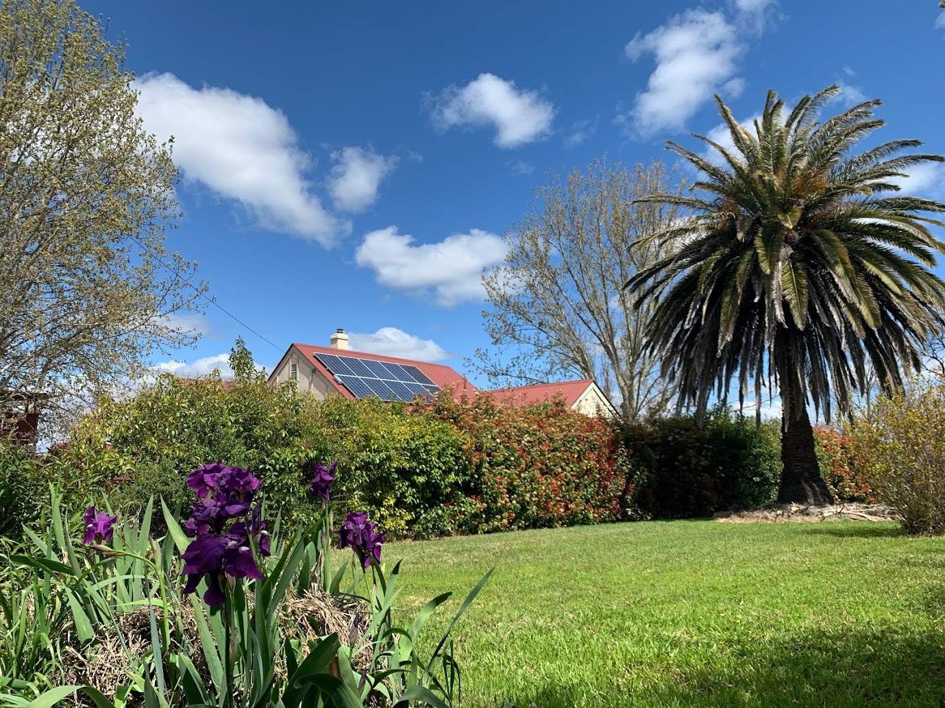 85 Auburn Vale Road, Inverell For Sale by Farmbuy.com - image 20