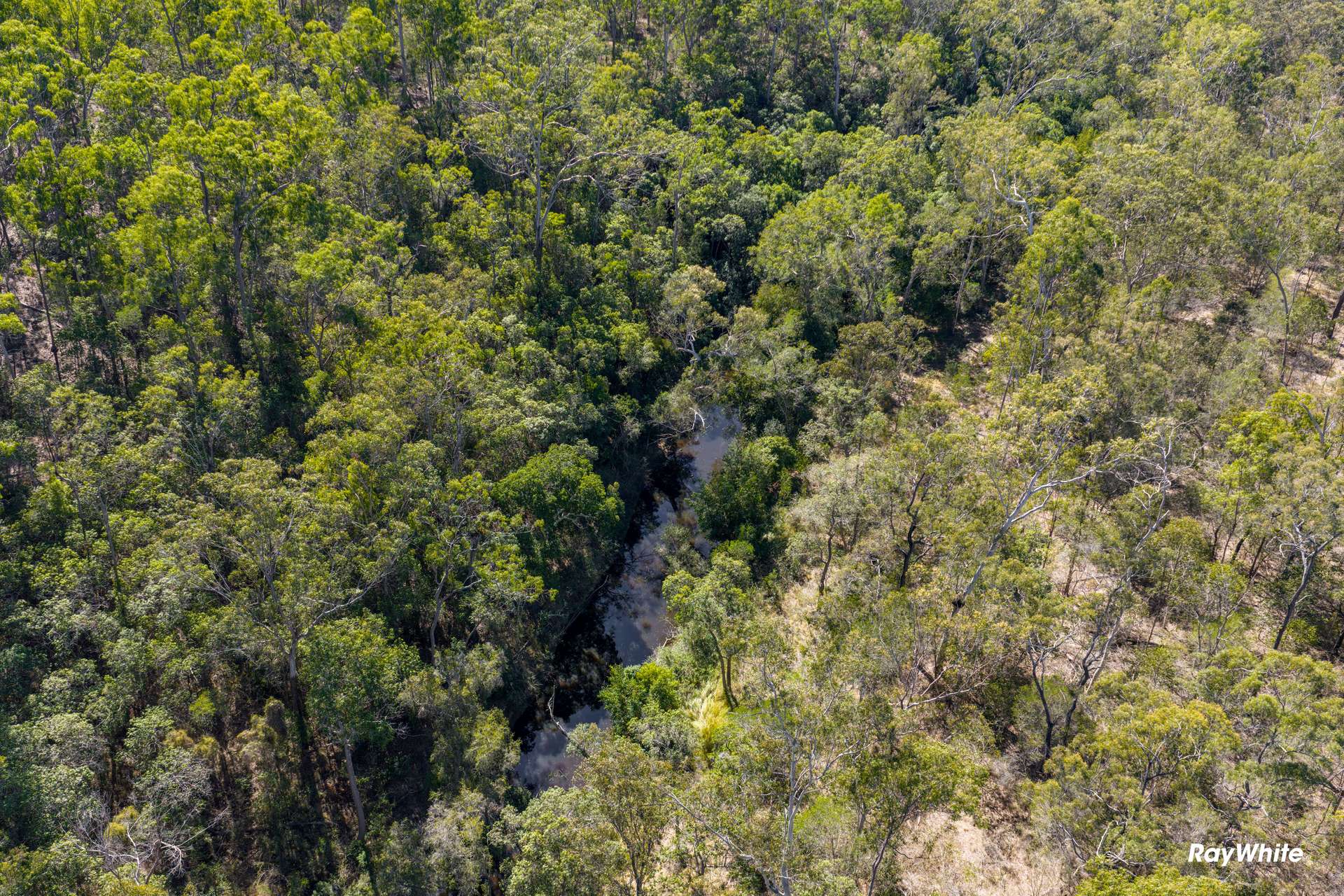 89 Corfield Drive, Booyal For Sale by Farmbuy.com - image 3