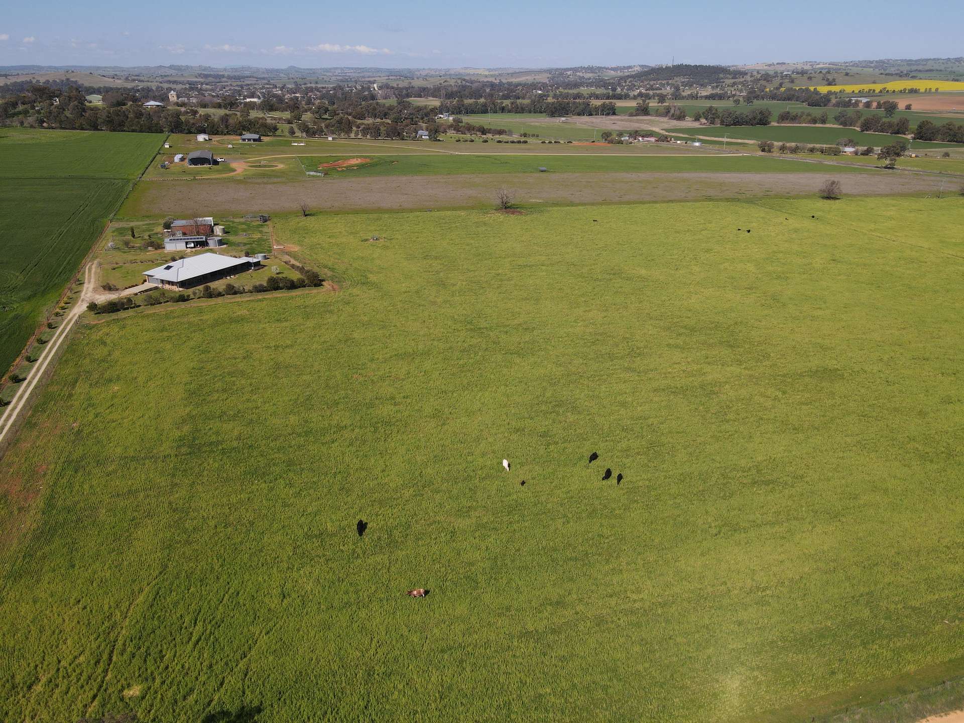 56 Leneva Lane, Canowindra For Sale by Farmbuy.com - image 28