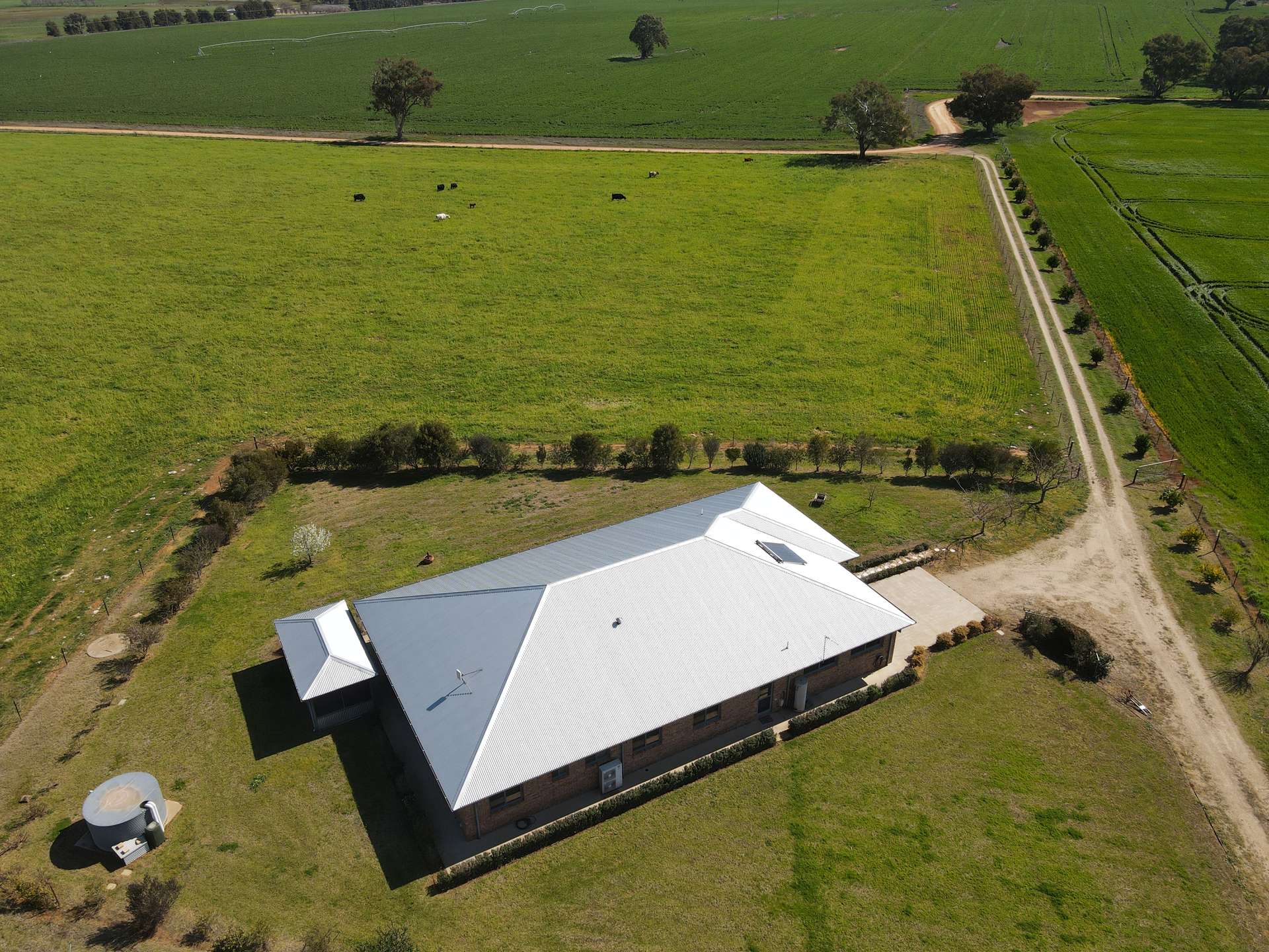 56 Leneva Lane, Canowindra For Sale by Farmbuy.com - image 1