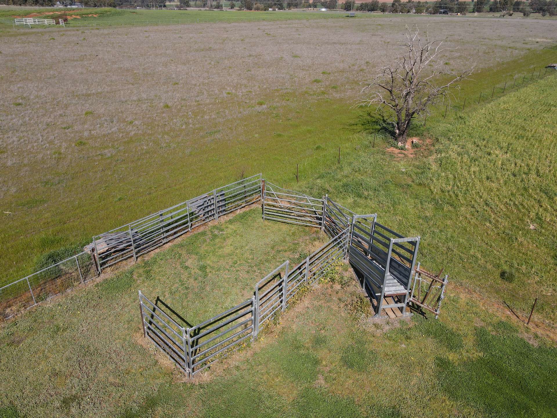 56 Leneva Lane, Canowindra For Sale by Farmbuy.com - image 29