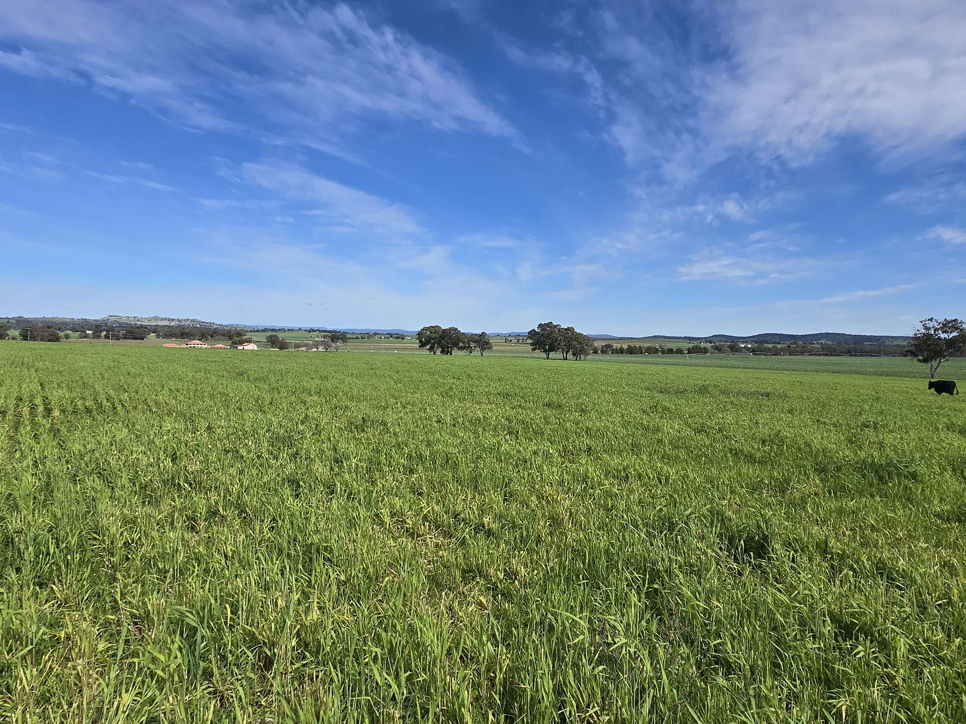 56 Leneva Lane, Canowindra For Sale by Farmbuy.com - image 20