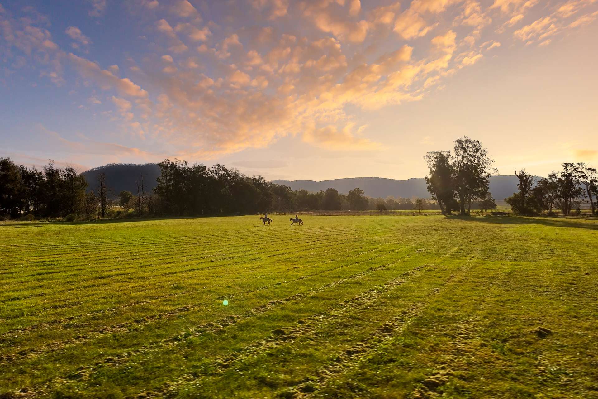 Martindale Road, Denman For Sale by Farmbuy.com - image 34