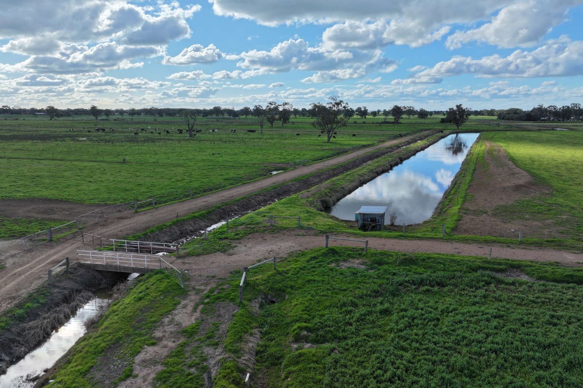 712 Singer Road, Bamawm For Sale by Farmbuy.com - image 14