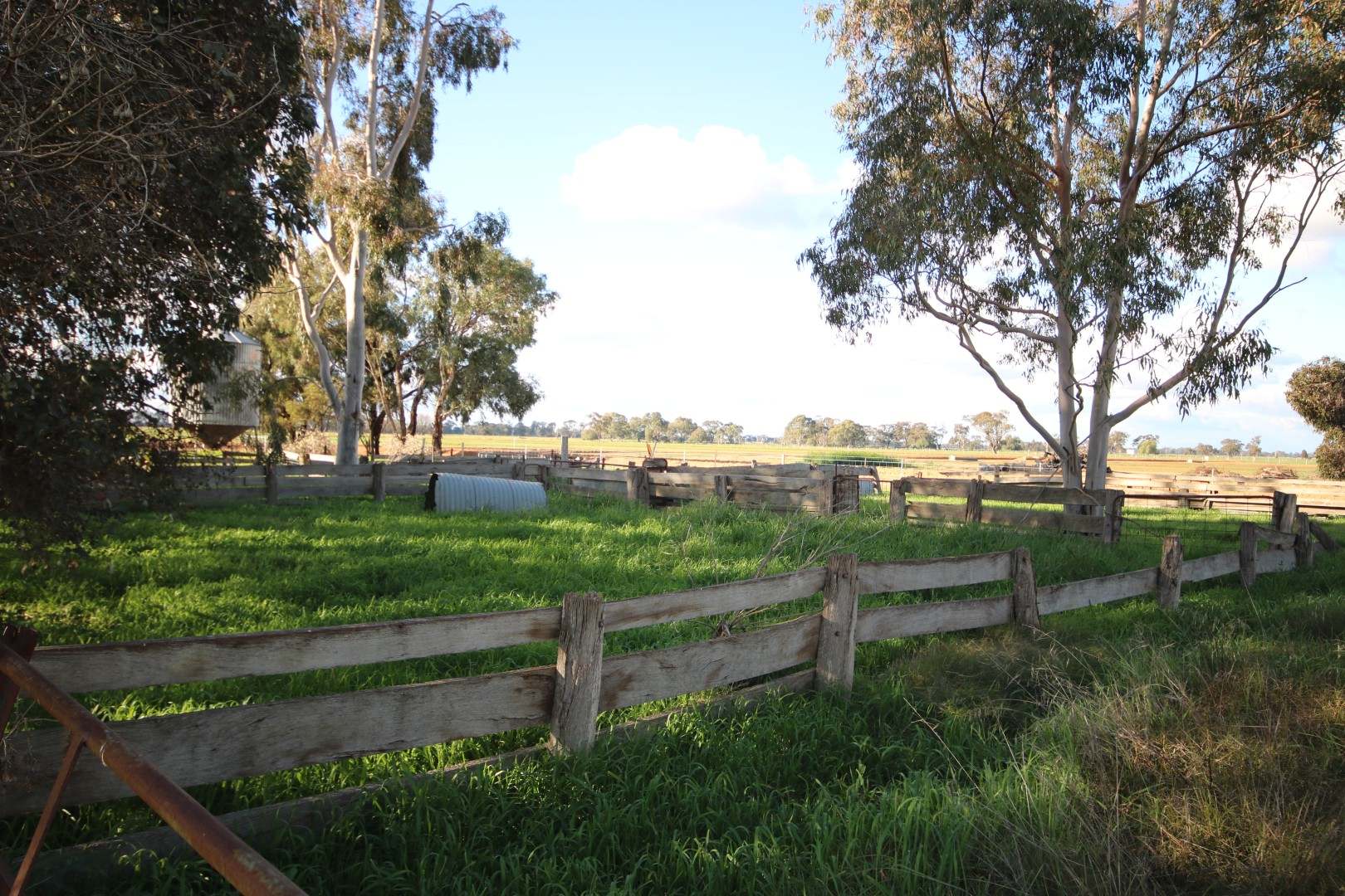 2948 Lockington Road, Kotta For Sale by Farmbuy.com - image 23