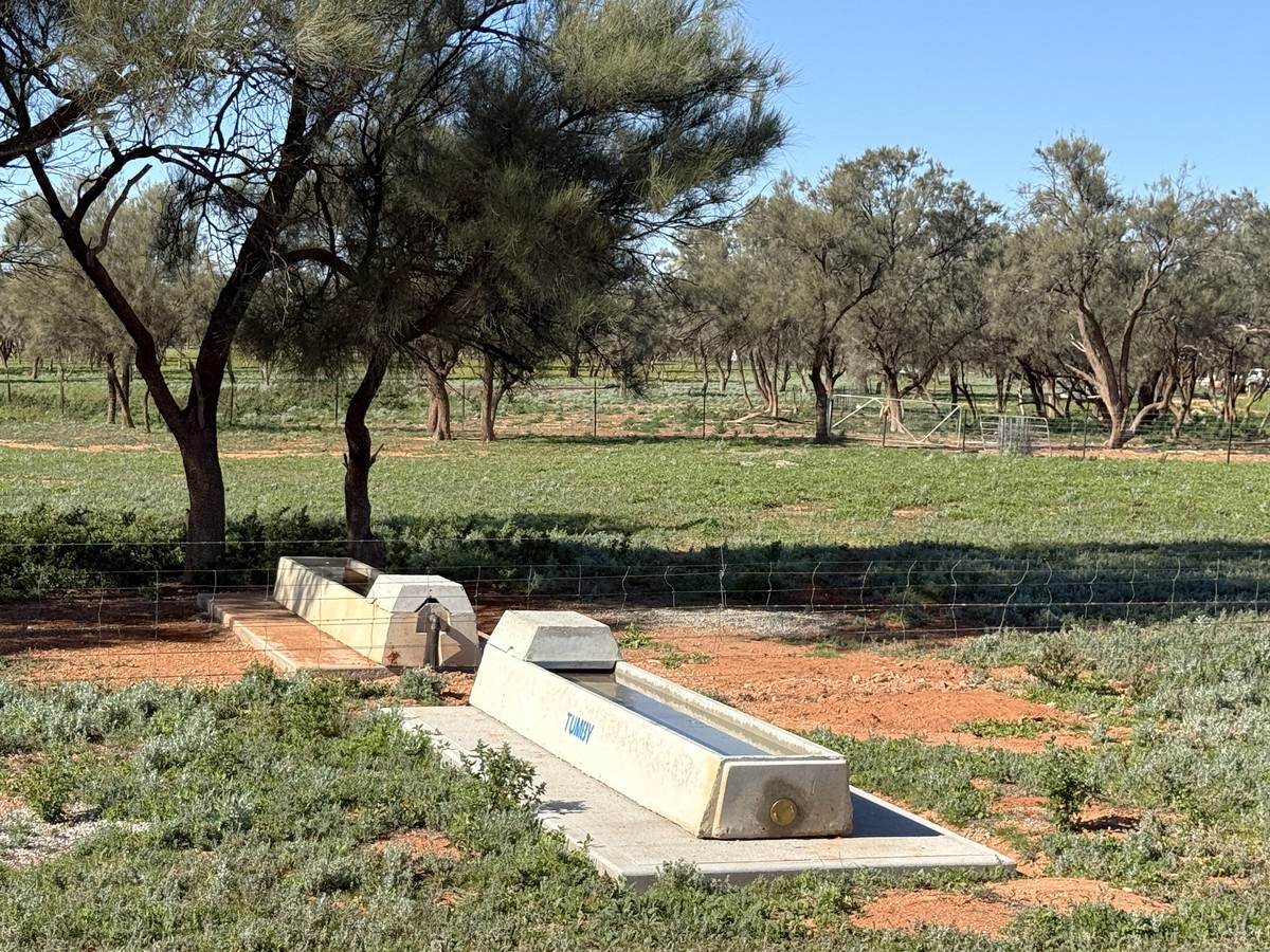 'Mazar Station' 6494 Netley Road, Broken Hill For Sale by Farmbuy.com - image 17