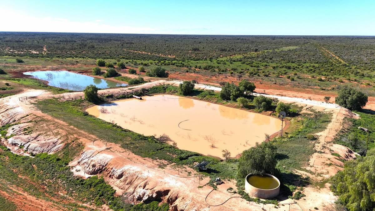 'Mazar Station' 6494 Netley Road, Broken Hill For Sale by Farmbuy.com - image 9