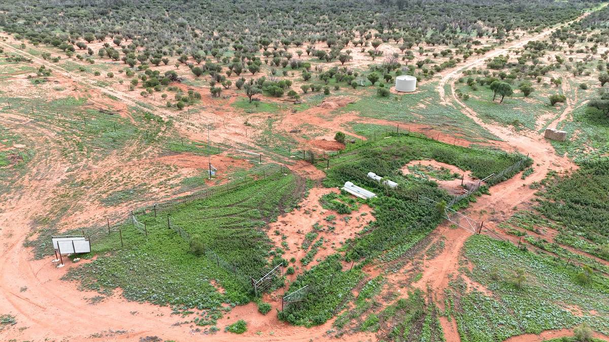 'Mazar Station' 6494 Netley Road, Broken Hill For Sale by Farmbuy.com - image 14