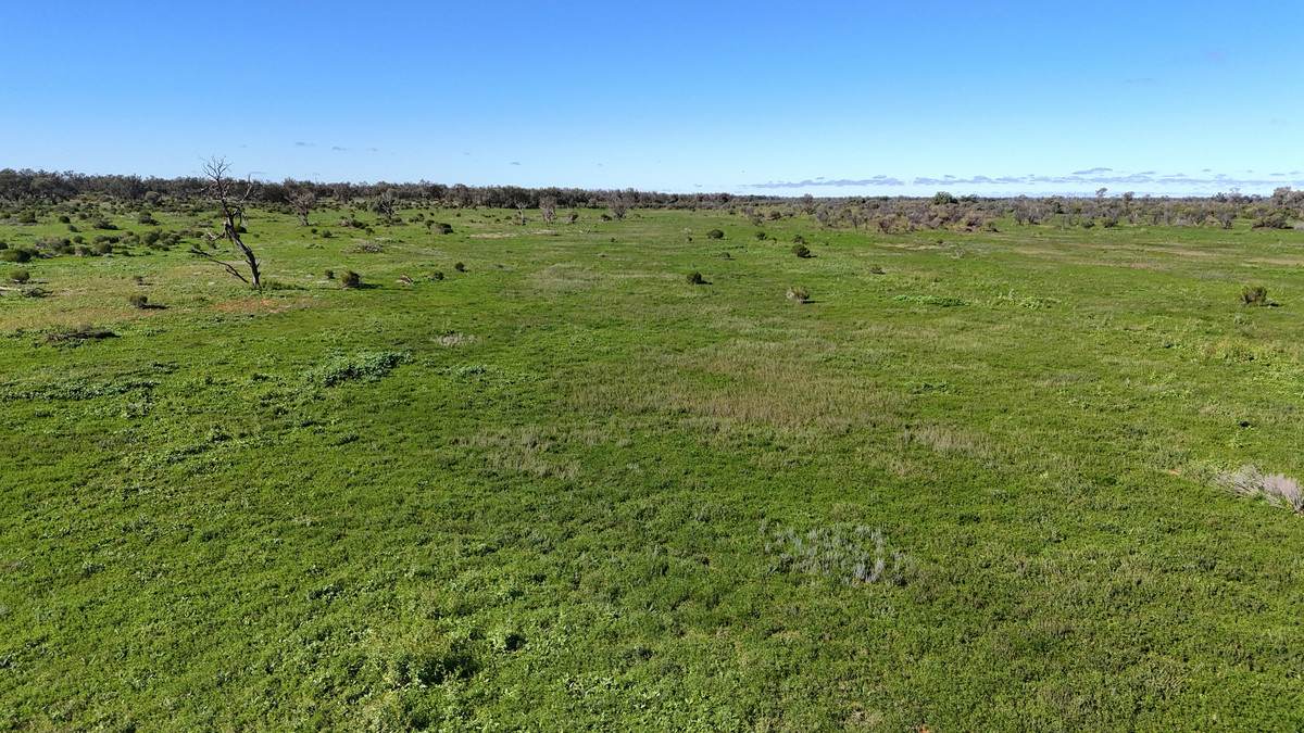 'Mazar Station' 6494 Netley Road, Broken Hill For Sale by Farmbuy.com - image 4